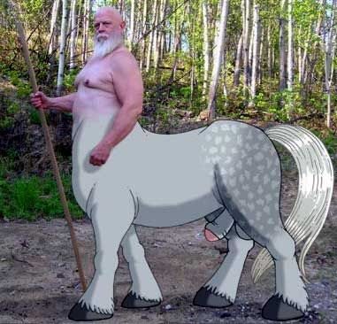 http://www.bear411.com/bears/h/horse.jpg